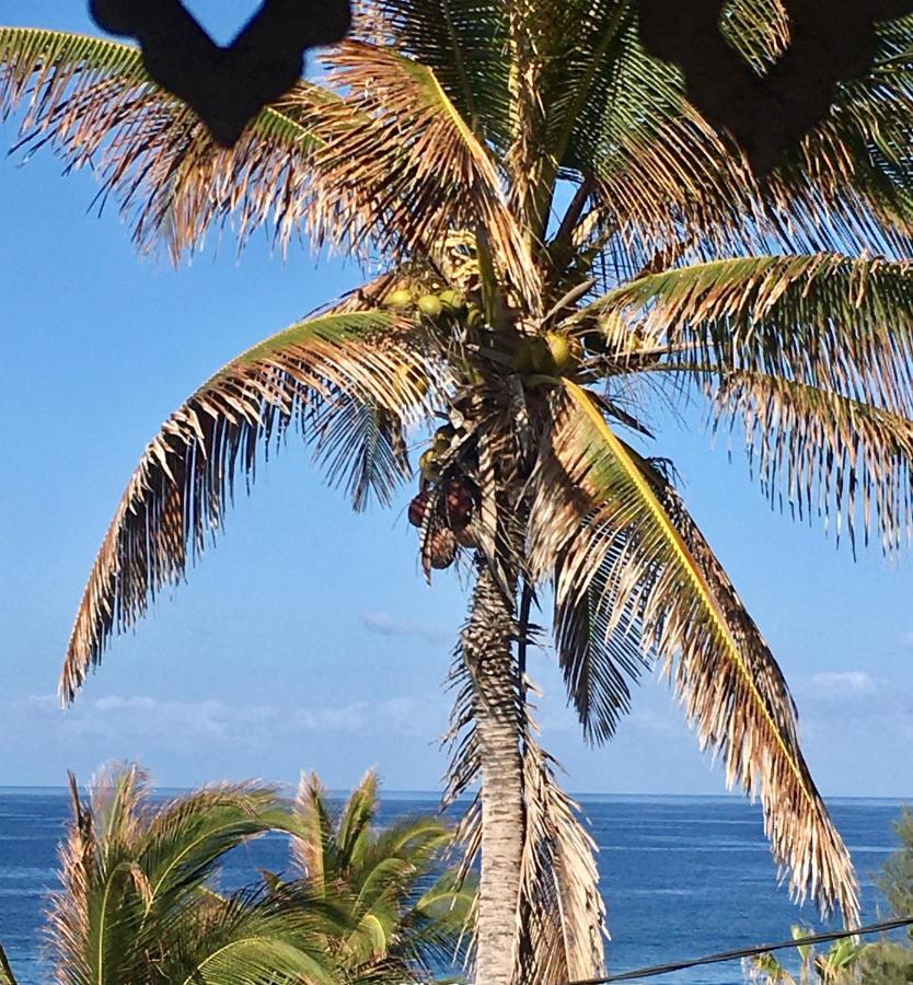 Le Reve Tropical 974 Lägenhet Trois Bassins Exteriör bild