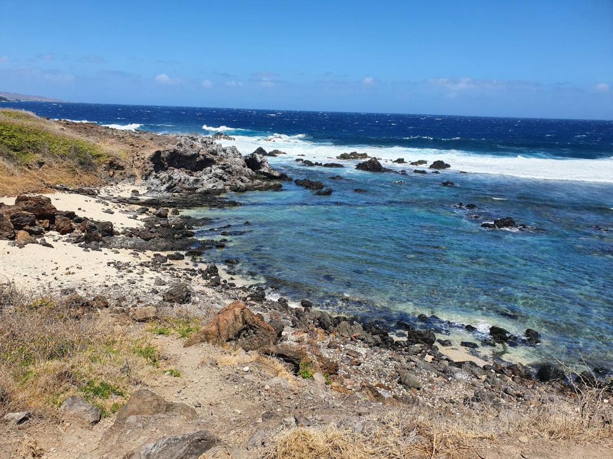 Le Reve Tropical 974 Lägenhet Trois Bassins Exteriör bild