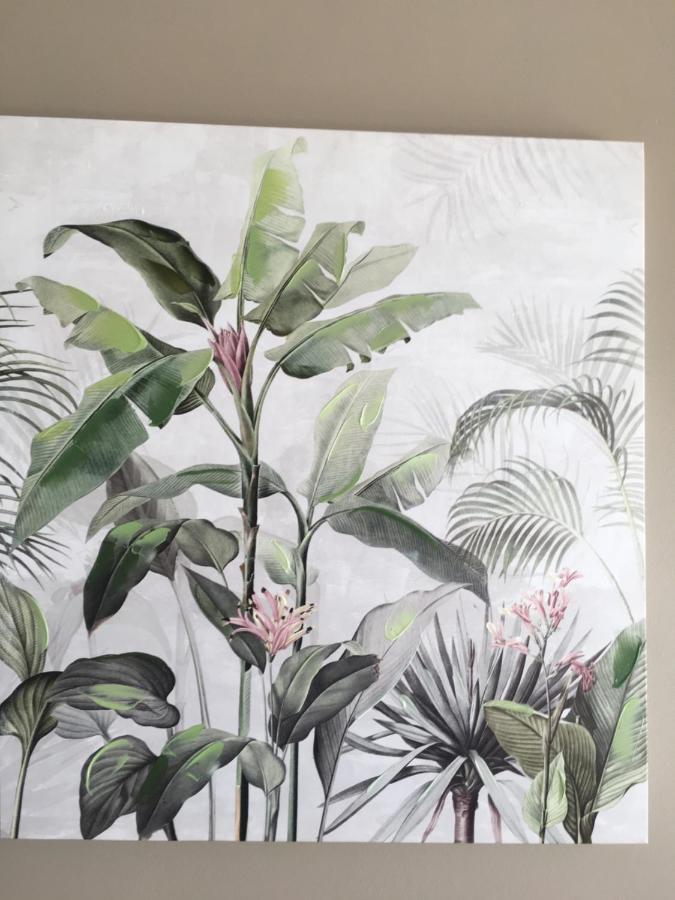 Le Reve Tropical 974 Lägenhet Trois Bassins Exteriör bild