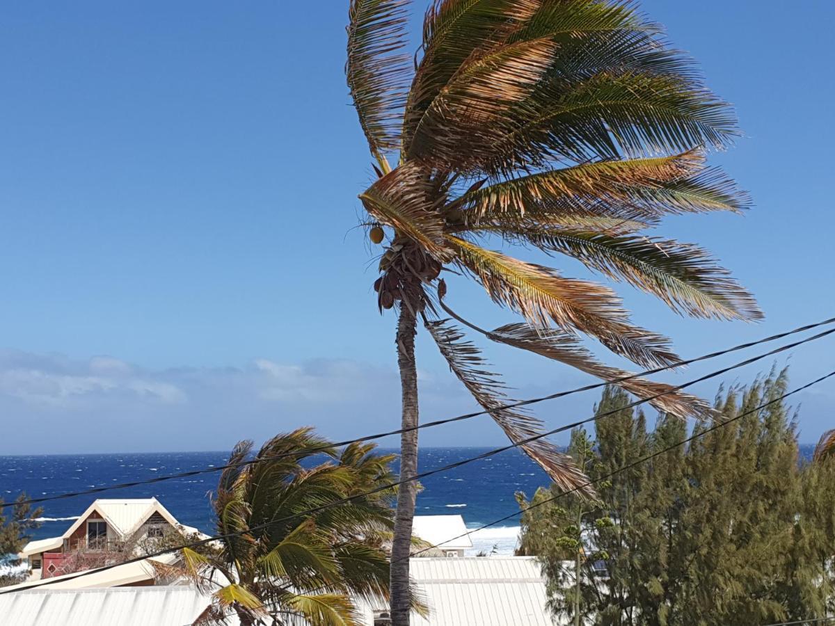 Le Reve Tropical 974 Lägenhet Trois Bassins Exteriör bild